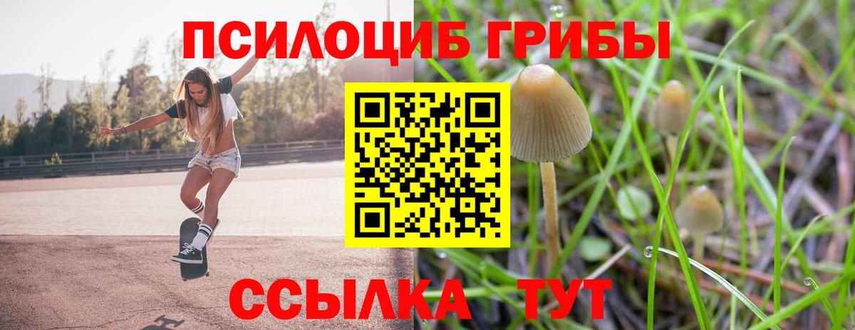 Псилоцибиновые грибы прущие грибы  Вход с VPN  Псилоцибиновые грибы прущие грибы  Миасс 